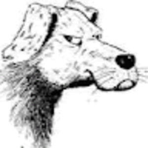 Meet your Posher, Don